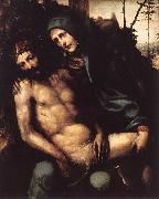 SODOMA, Il Pieta wr Germany oil painting reproduction